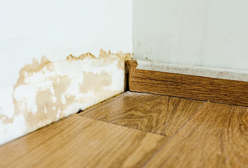 The First 24 Hours: Your Step-by-Step Emergency Protocol for Las Vegas Water Damage